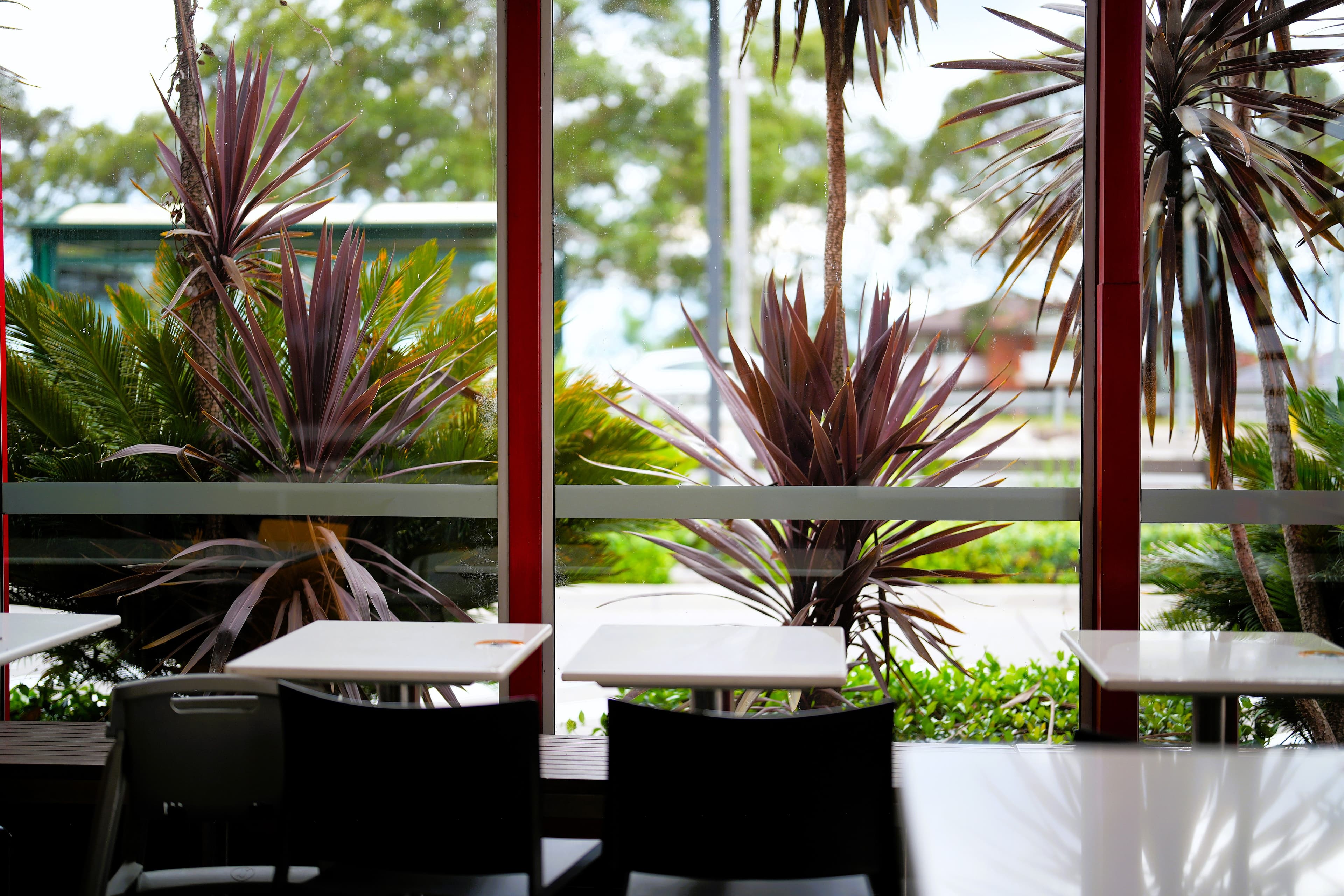 Indoor cafe seating with a view of lush tropical plants through large red-framed windows.