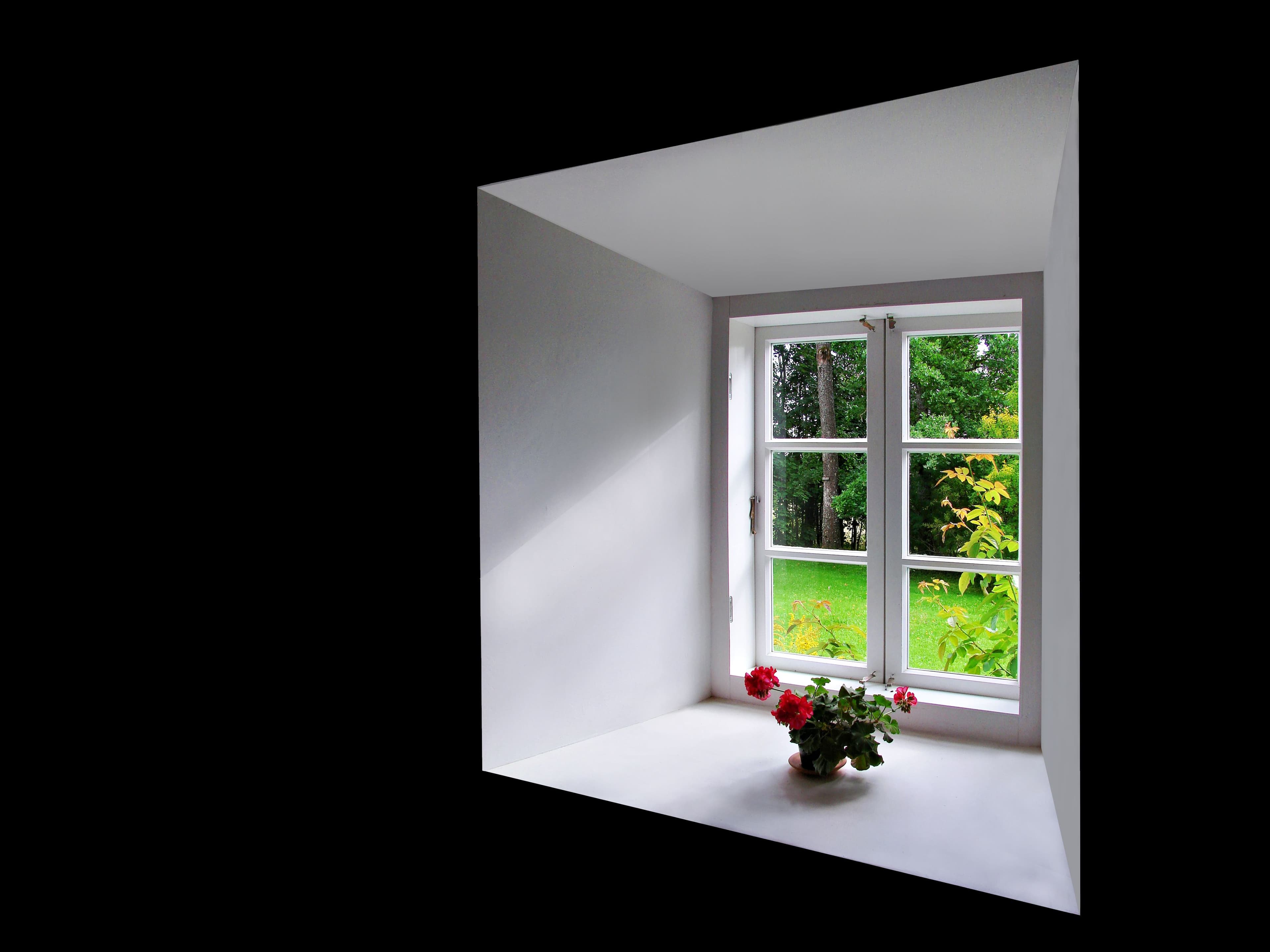 Potted red flowers on a white windowsill with a view of green trees and grass.