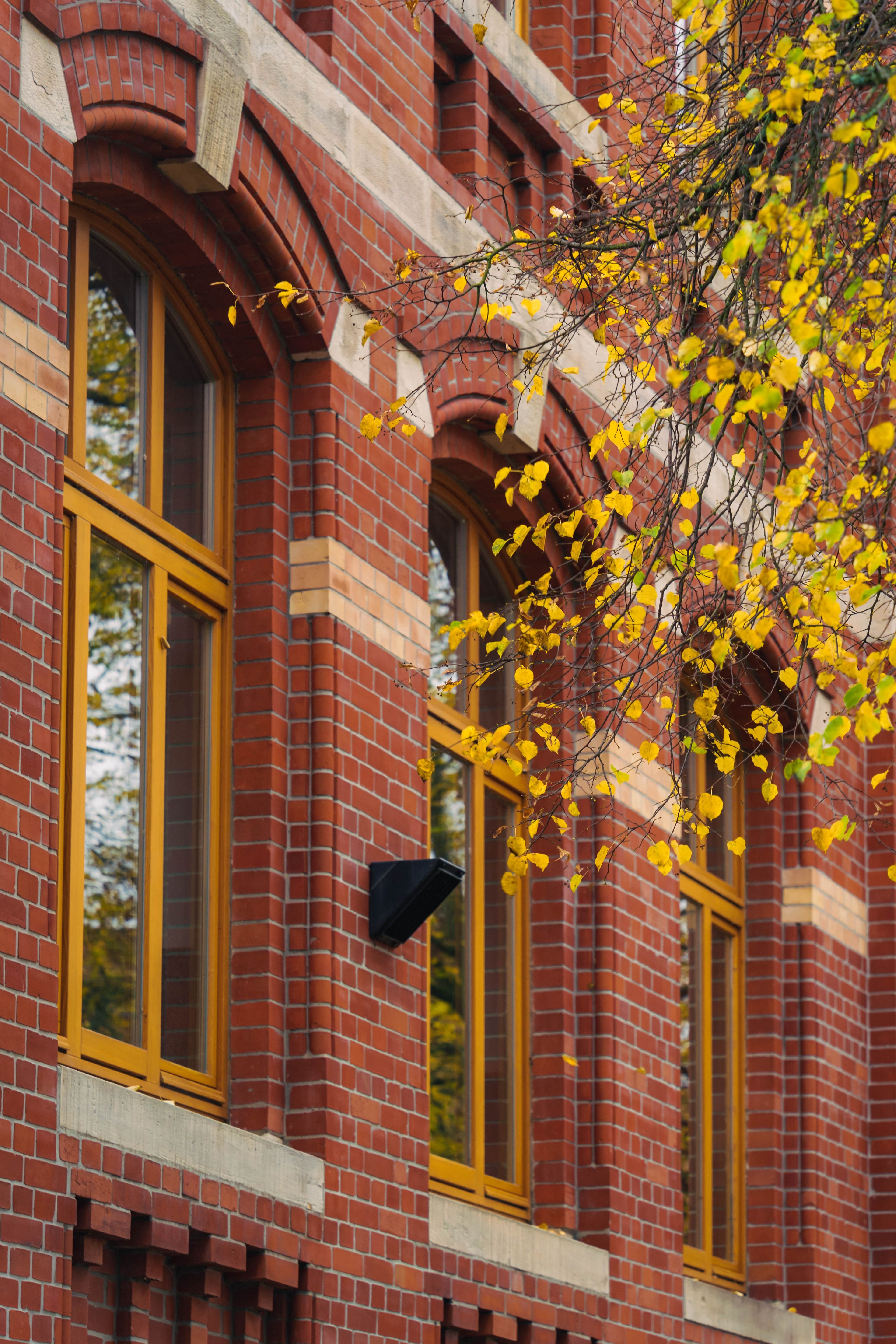 Red brick building featuring arched yellow windows and a tree branch with yellow autumn leaves.
